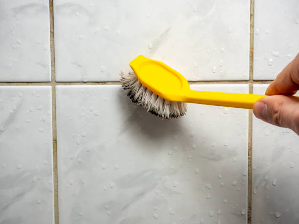 Best Mold Inspection  in Masonville, KY