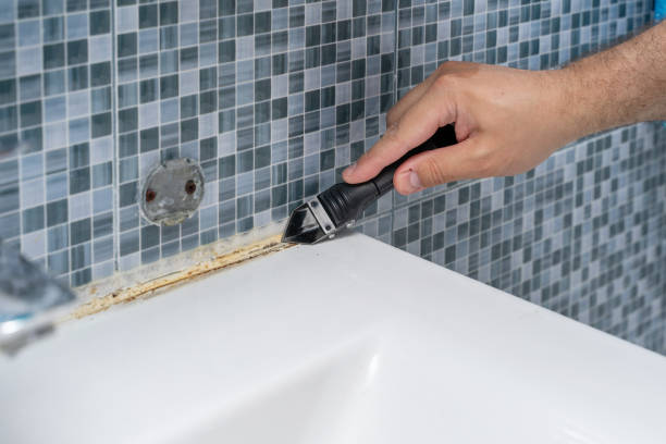 Best Local Mold Removal Service  in Masonville, KY